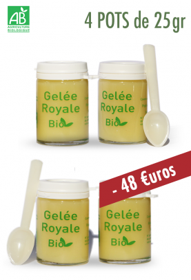 Lot de 4X25g - GELEE ROYALE BIO TYPE 1