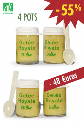 Lot de 4X25g - GELEE ROYALE BIO TYPE 1