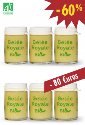 Lot de 6X25g - GELEE ROYALE BIO TYPE 1