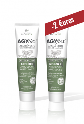 Argile Verte Gel 2 tubes