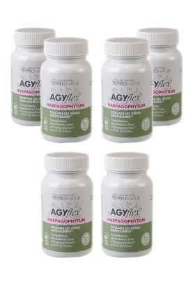 4+2 OFFERTS AGYflex® HARPAGOPHYTUM