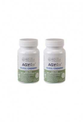 Lot de 2 AGYflex® GLUCO/CHONDRO