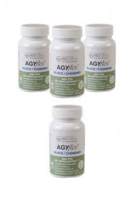 3+1 OFFERT AGYflex® GLUCO/CHONDRO