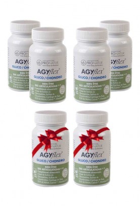 4+2 OFFERTS AGYflex® GLUCO/CHONDRO