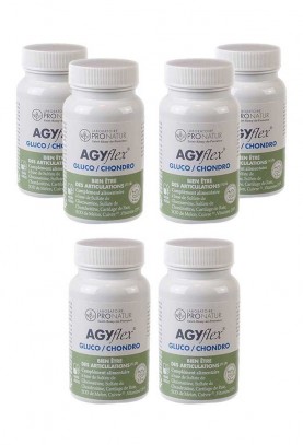 4+2 OFFERTS AGYflex® GLUCO/CHONDRO