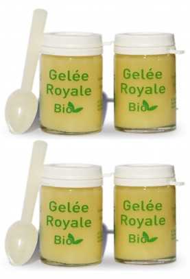 3+1 OFFERT GELEE ROYALE BIO TYPE 1 - 4X25g