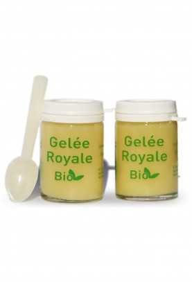 lot de 2 GELEE ROYALE BIO TYPE 1 - 2X25G