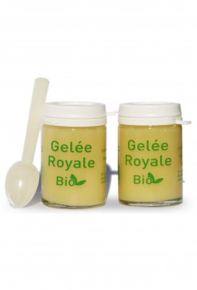 Lot de 2 GELEE ROYALE BIO TYPE 1 - 2X25G