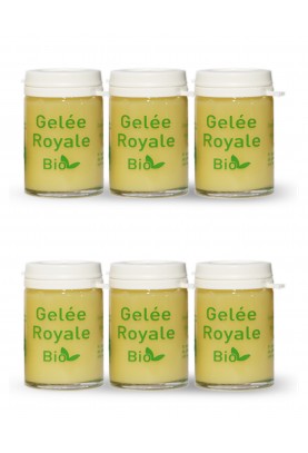 4+2 OFFERTS GELEE ROYALE BIO TYPE 1 - 6X25G