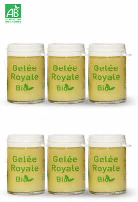 4+2 OFFERTS GELEE ROYALE BIO TYPE 1 - 6X25G