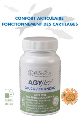 GLUCO/CHONDRO AGYflex®