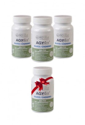 3+1 OFFERT AGYflex® GLUCO/CHONDRO