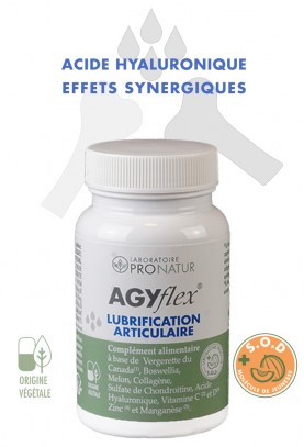 AGYflex® LUBRIFICATION ARTICULAIRE