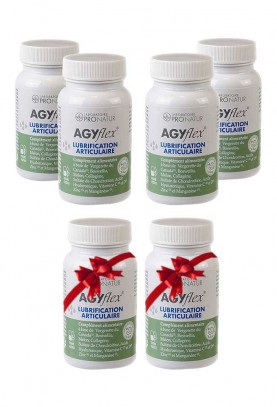 4 + 2 OFFERTS AGYflex® LUBRIFICATION ARTICULAIRE